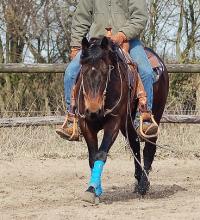 zum Vergr��ern oder auch f�r weitere Bilder anklicken